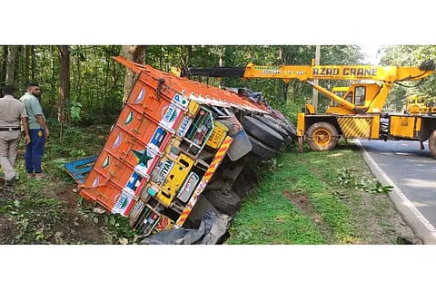 YLP LORRY