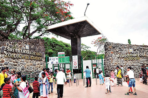 mysore