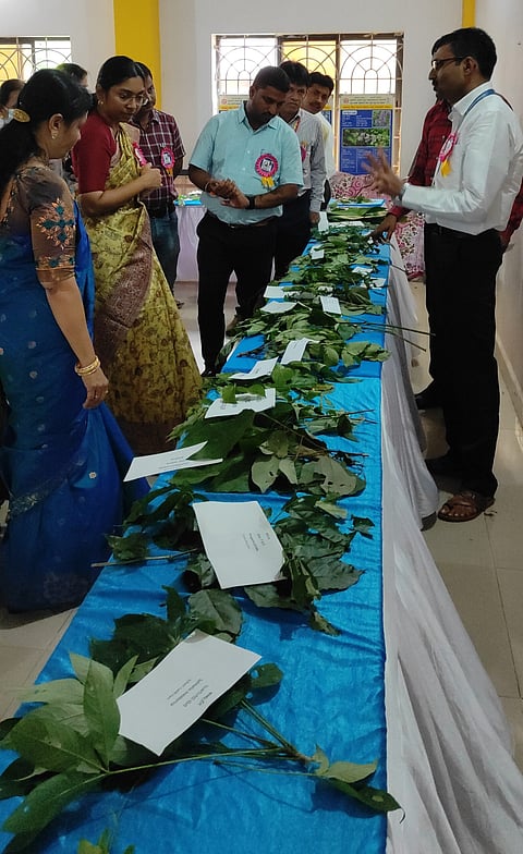 ayurveda day