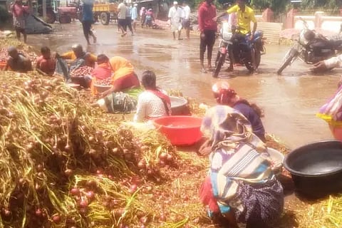 canal water seeped into the onion pile