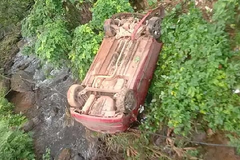 car palti