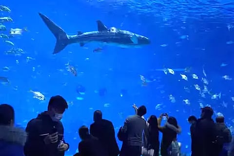 Chinese aquarium
