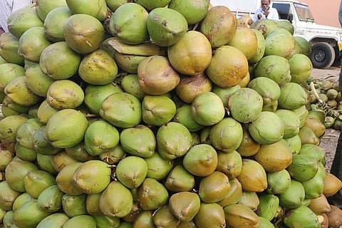coco
