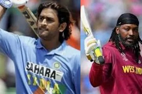 cricket