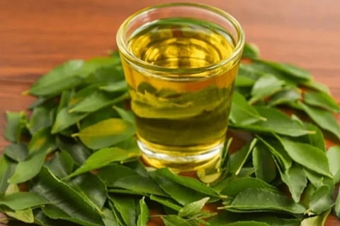 curry leaves water