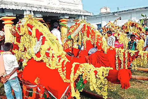 dg temple