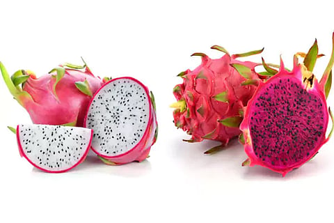 Dragon fruit