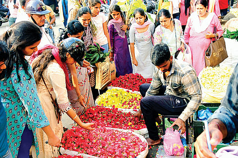 dvg-flowers.jpg