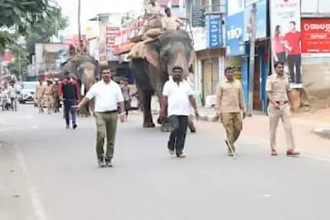 elephant meravanige