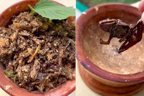 frog chutney