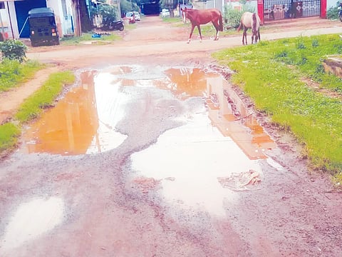 h6- Gudi plot road 1