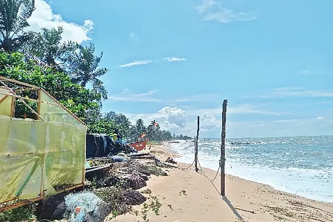 kadalu