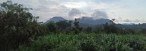 kadanakuppe1