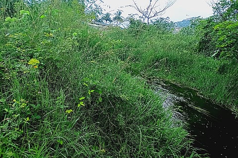 kc valley