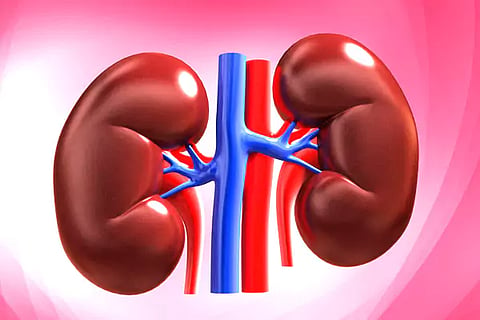 Kidneys Health