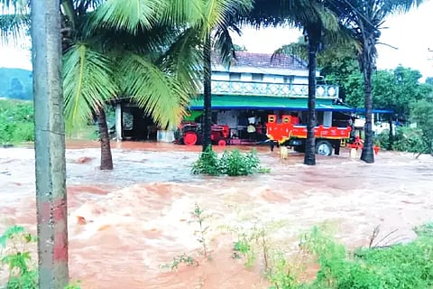 nyamathi