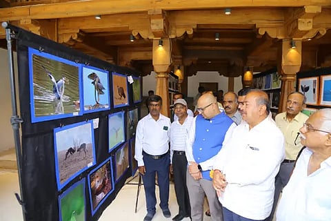 photo exibition