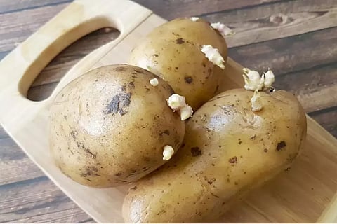 potatoe