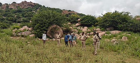 raichur forest