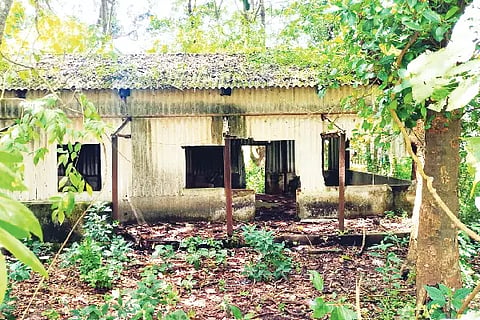 shed