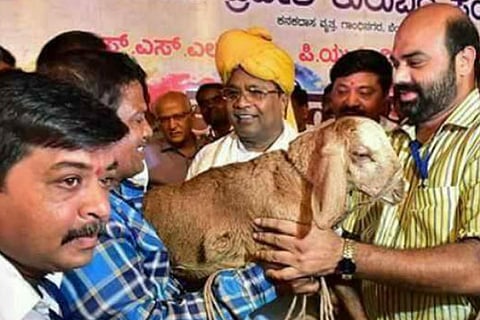 cm of karnataka