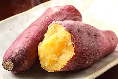 Sweet potato