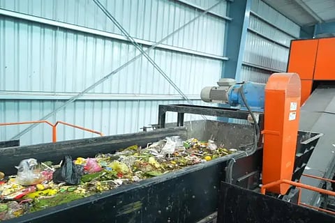 swm plant