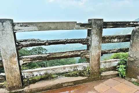 tth agumbe