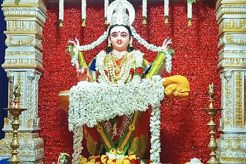 vamadapavu