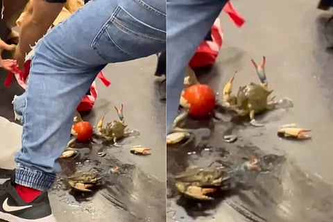 video