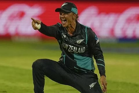 web nz wc