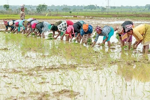 ವಿಜಯವಾಣಿ
