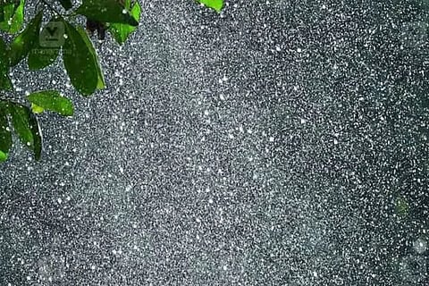 rain alert