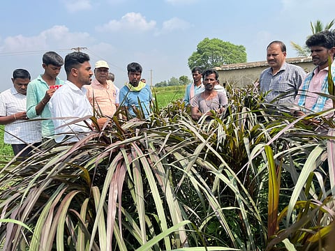 district koppal kvk farmers tarinig