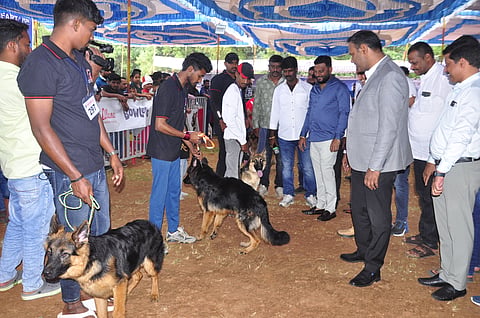 ಕಲಾ ಕಾಲೇಜು ಆವರಣದಲ್ಲಿ ಗಮನ ಸೆಳೆದ ವಿವಿಧ ತಳಿಯ ಶ್ವಾನ ಪ್ರದರ್ಶನ