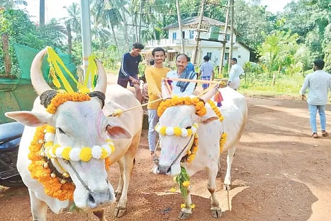 3-ANP-P2 CHENNASHETTYKOPPA