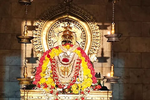 Bdk_Dhanvantari