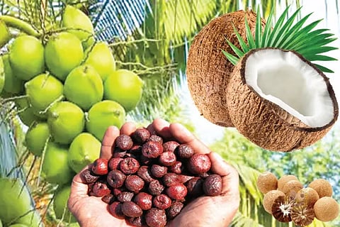 Coconut