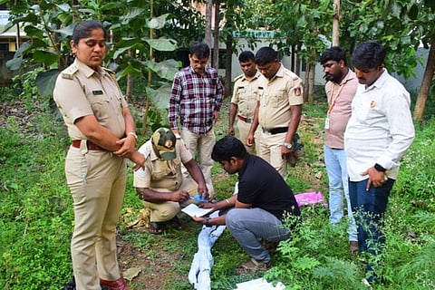 Found two Gaanja plants Mandya