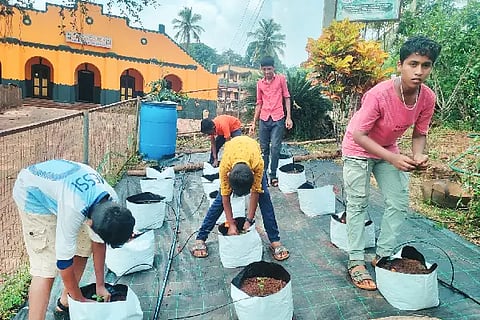 Ksd_farming