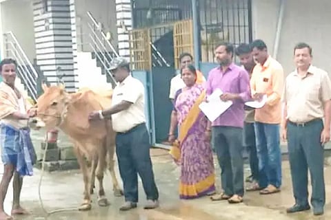 Mayakonda