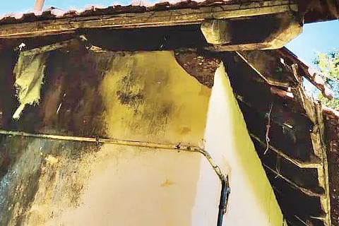 New Project (17)