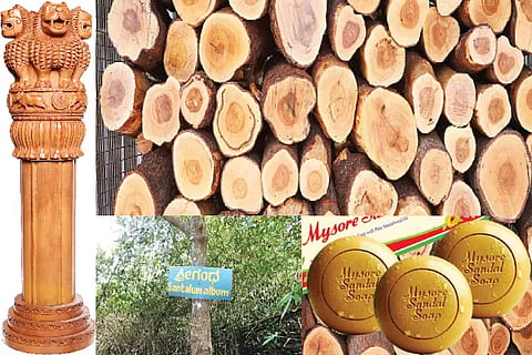 Sandalwood