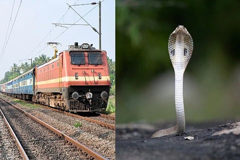 Train Snake