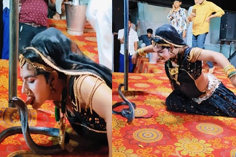 Woman Kisses Cobra