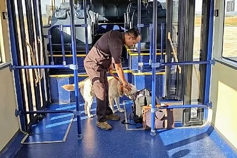 airport bomb