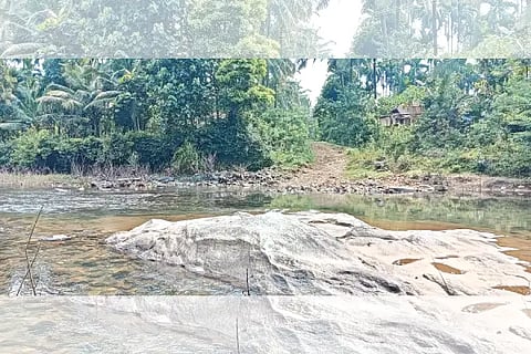 bollettu