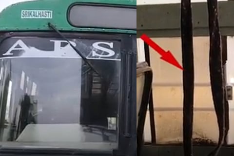 bus crime