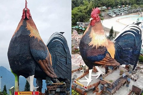 chicken shape resort