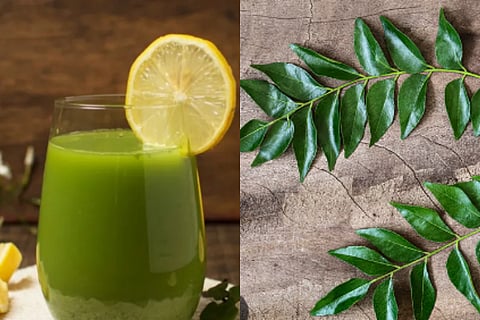 curry leaf